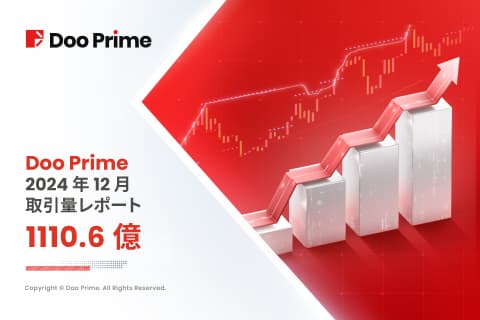 Doo Prime 取引量レポート | 2024年12月取引量レポート